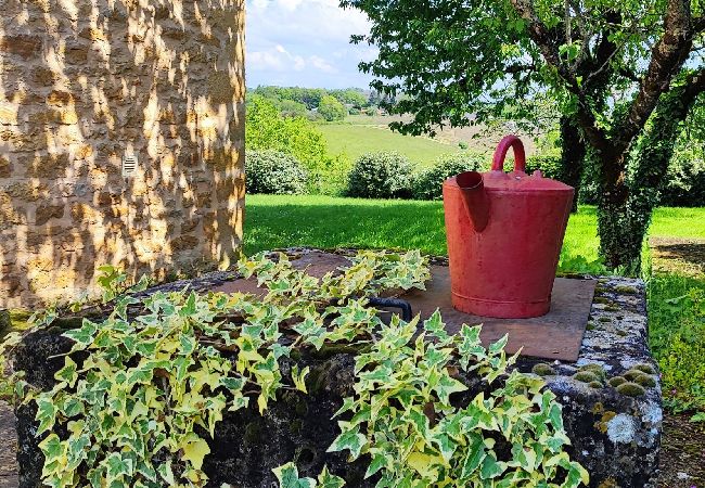 Maison à Salignac-Eyvigues - Gite La Dure : le Charme d'un séjour Périgourdin  Maison à Salignac-Eyvigues - Gite La Dure : le Charme d'un séjour Périgourdin
