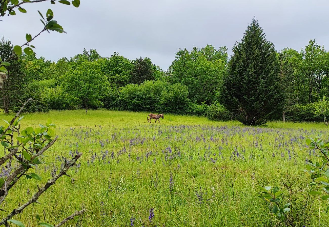 Maison à La Cassagne - Séjour à la campagne en Périgord Noir 